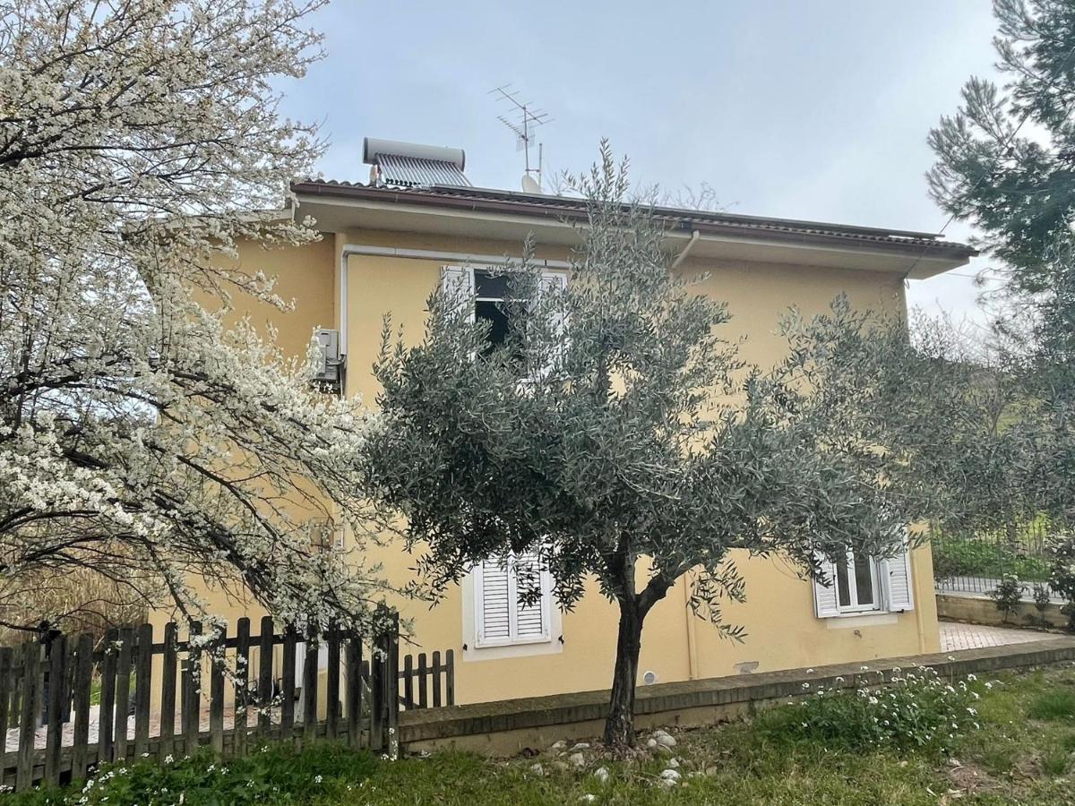 Casa San Giorgio Holiday House Acquaviva Picena Exterior foto